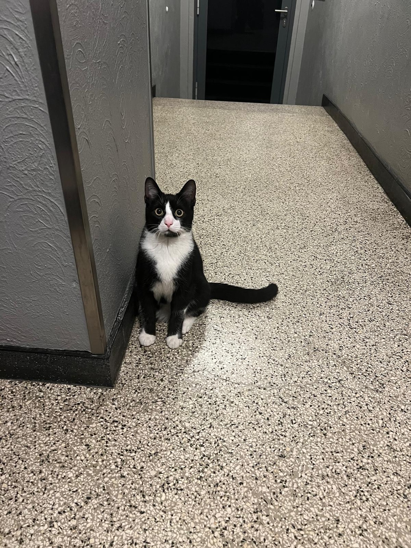 🚨 FUNDKATER 🚨