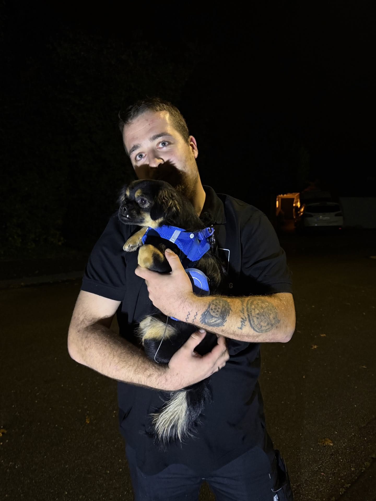 🐾 Erfolgreiche Sicherung in Bergisch Gladbach – Willkommen zu Hause, Mila! 🐶