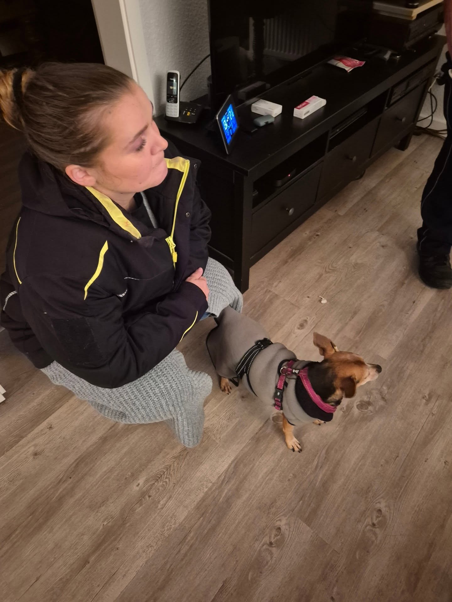 🥳🚨🚨🚨Die gestohlene Hündin Wilma ist wieder Zuhause 🚨🚨🚨🥳