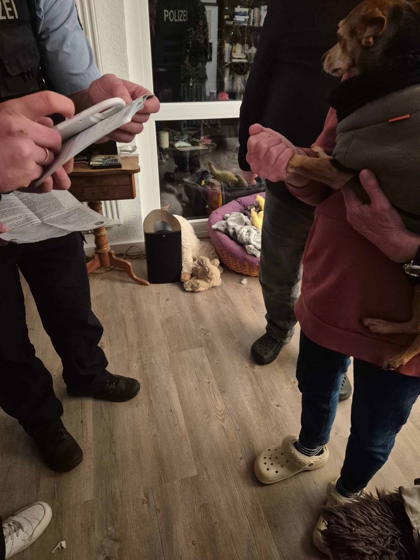 🥳🚨🚨🚨Die gestohlene Hündin Wilma ist wieder Zuhause 🚨🚨🚨🥳
