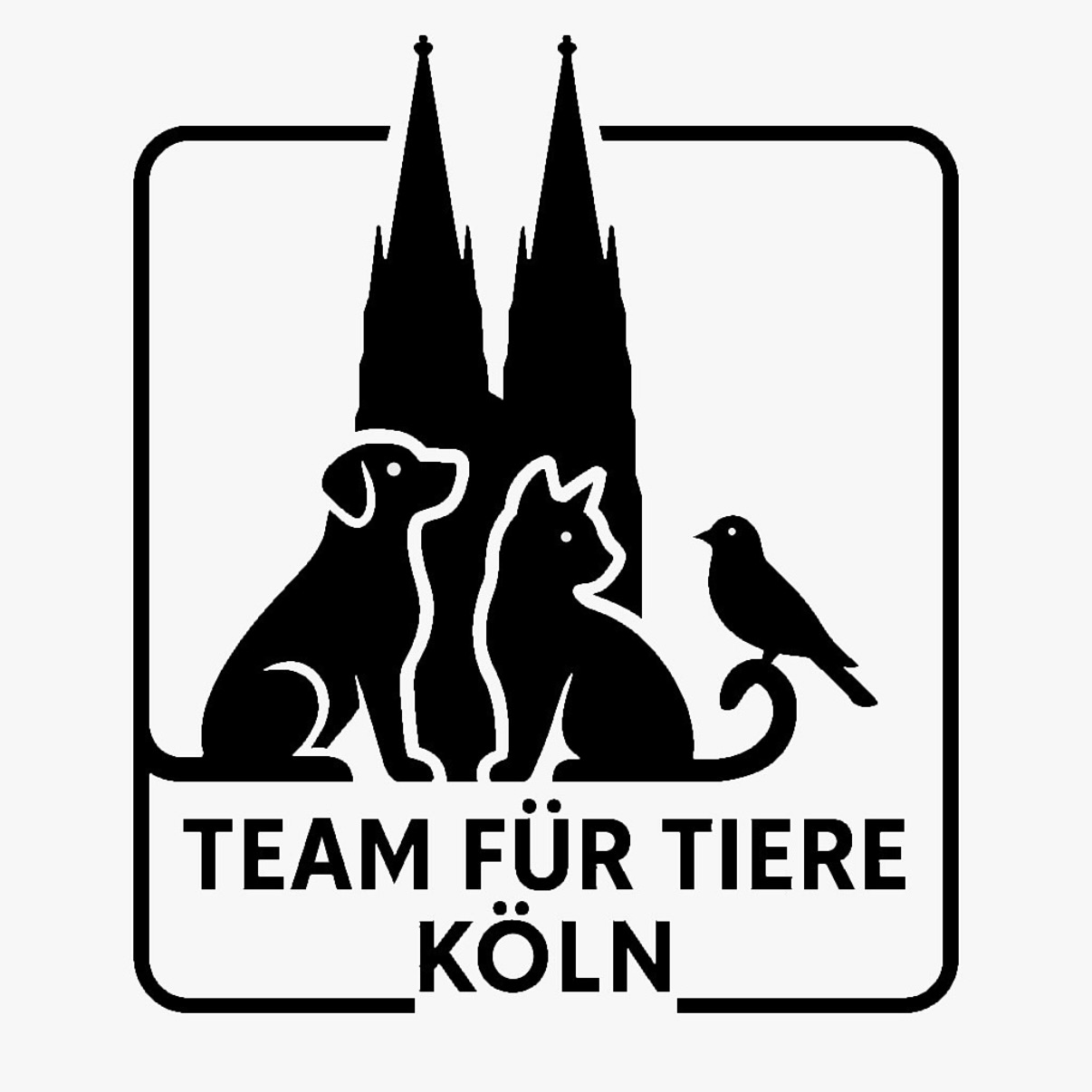 🐾 Liebe Kölnerinnen und Kölner, 🐾
