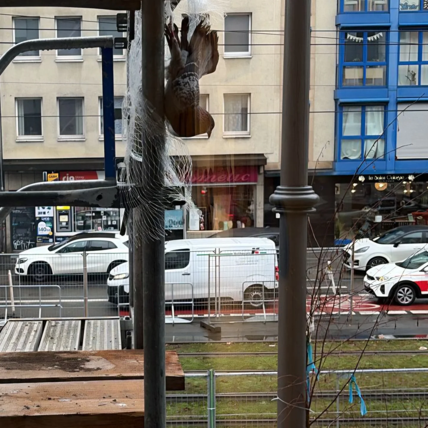 🚨🕊Einsatz in der Kölner Innenstadt🕊🚨