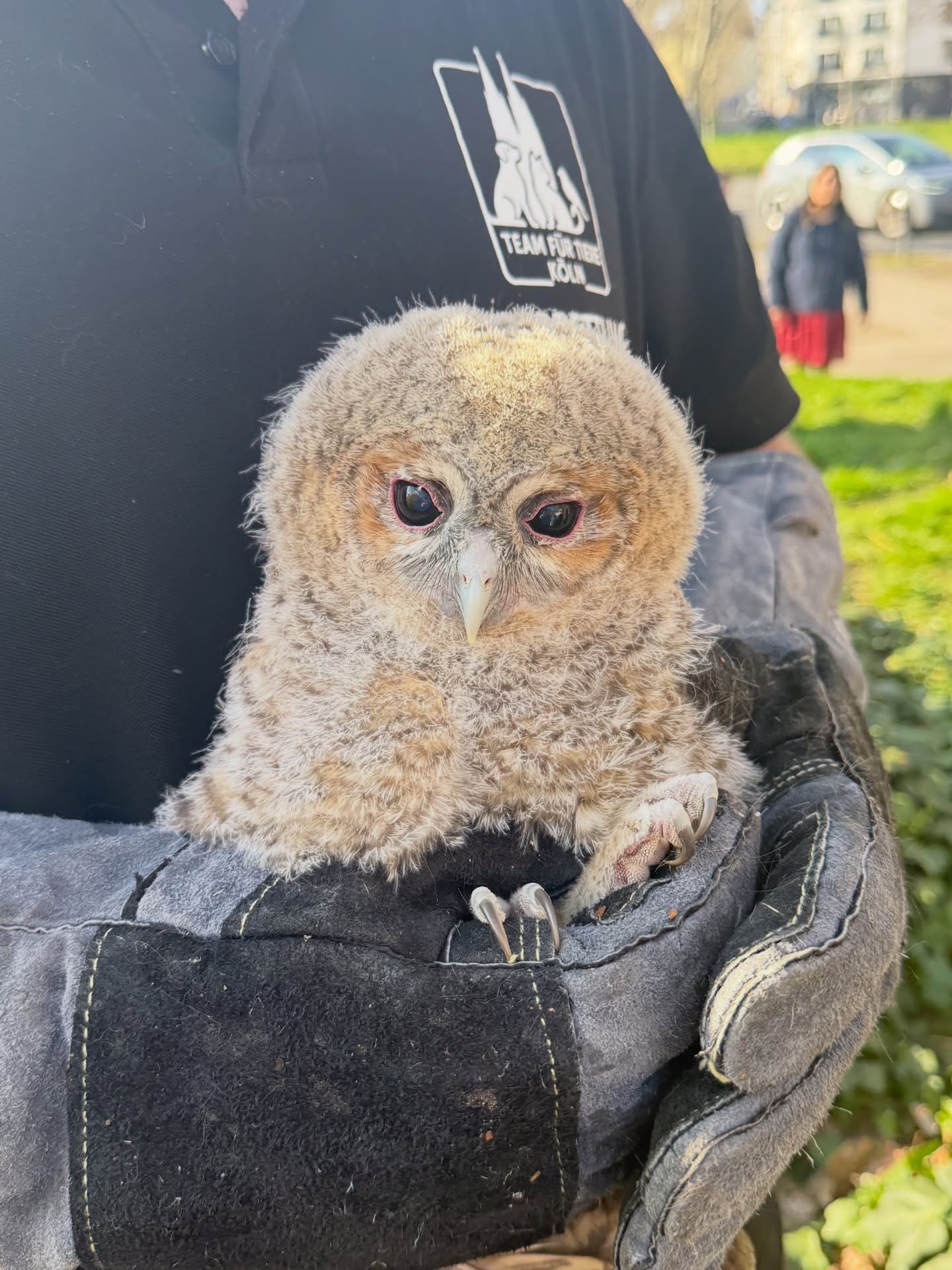 📍Einsatz in der Kölner Innenstadt 🦉